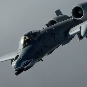 Meet your Posher, Bill